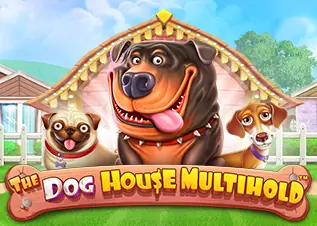 เว็บตรง queen88.games The Dog House Multihold ทดลองเล่นฟรี